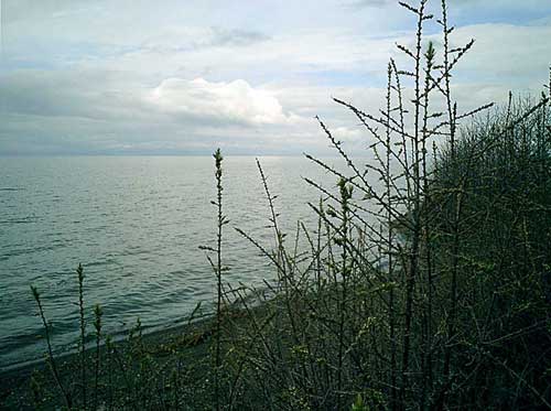 озеро Севан